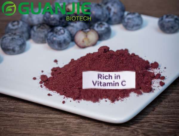 natural blueberry powder natural blueberry powder