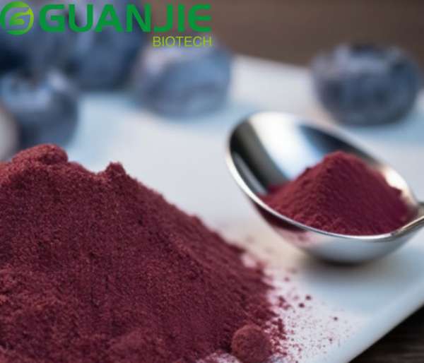 pure blueberry powder bulk pure blueberry powder bulk