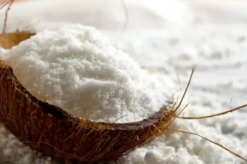 Coconut Powder Coconut Powder