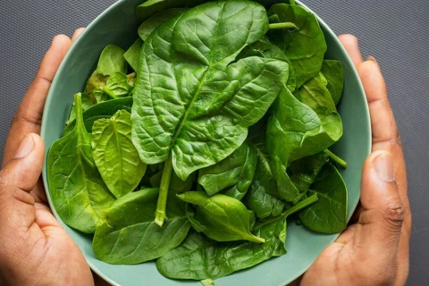 Spinach Powder Spinach Powder