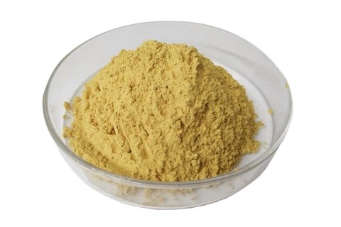 Mango Powder Mango Powder